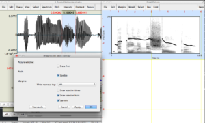 Praat tutorial | Maria Gouskova